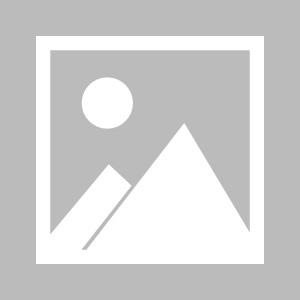 瓜子直播-芝加哥公牛队的辉煌与未来